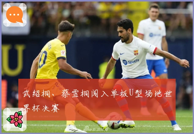 武绍桐、蔡雪桐闯入单板U型场地世界杯决赛