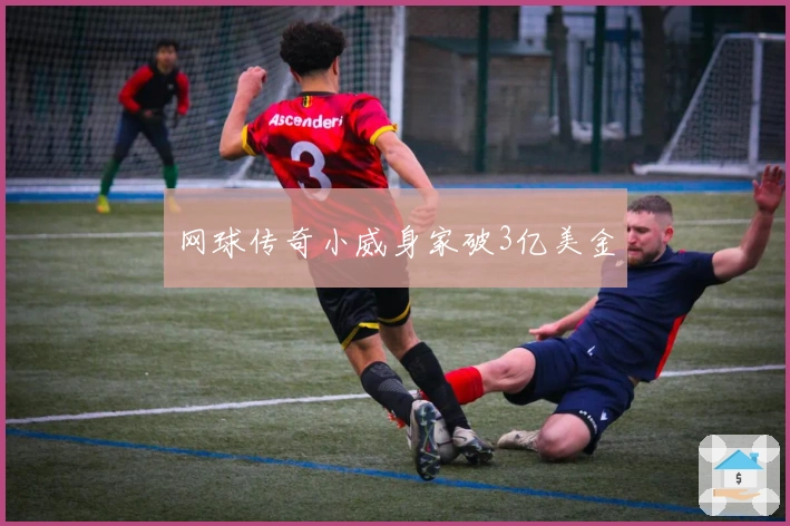 网球传奇小威身家破3亿美金