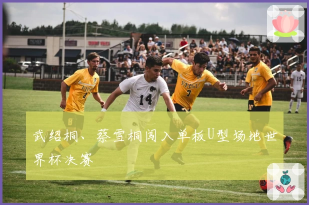 武绍桐、蔡雪桐闯入单板U型场地世界杯决赛