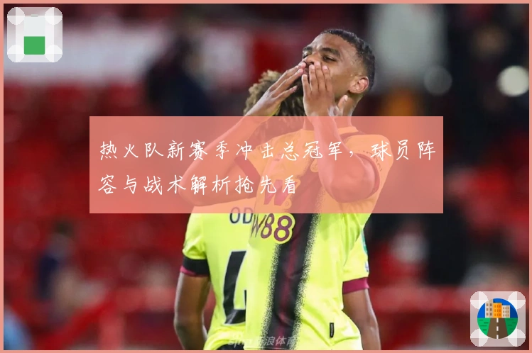 热火队新赛季冲击总冠军，球员阵容与战术解析抢先看