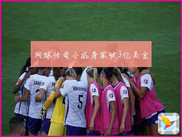 网球传奇小威身家破3亿美金